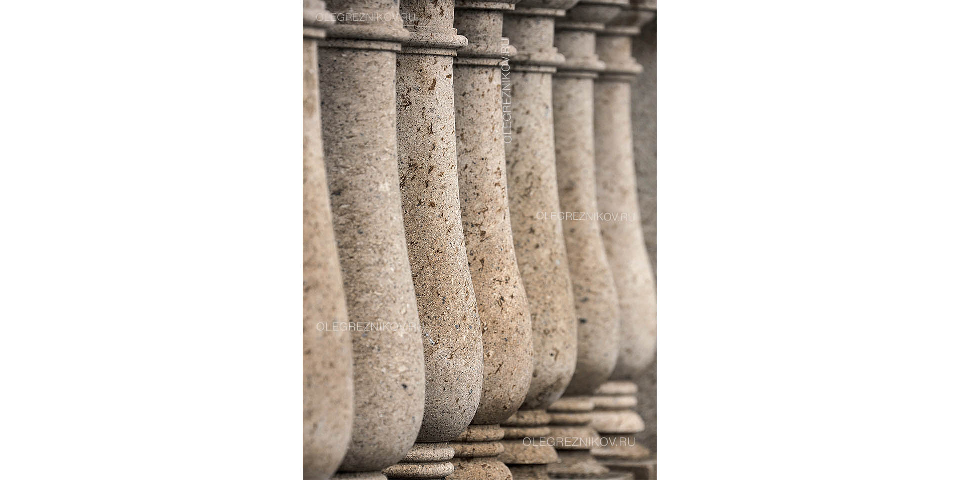 Дом со львами. Архитектурная студия Олега Резникова.